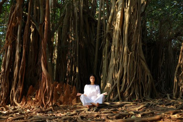 Ayurveda in Karnataka