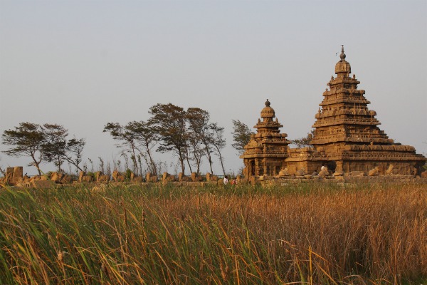 Ayurveda in Tamil Nadu